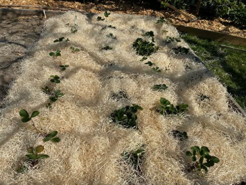 Fashion-Sonderposten Erdbeerwolle Gemüsewolle Gartenholzwolle Holzwolle 100 Prozent Ökologisch (4 KG) Cover