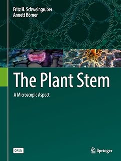The Plant Stem: A Microscopic Aspect