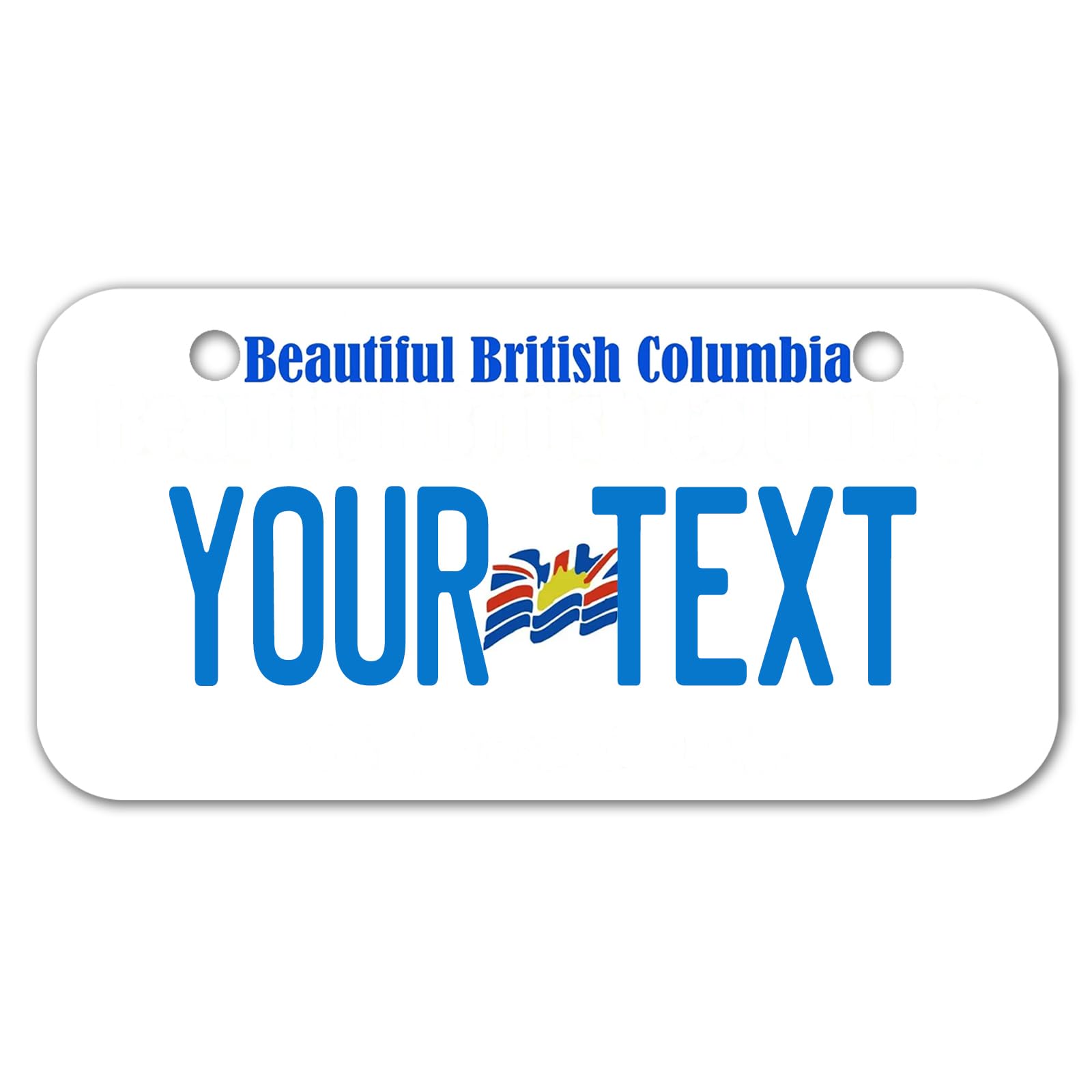 Ontario License Plate, 6"×12" Custom License Plate — view 29