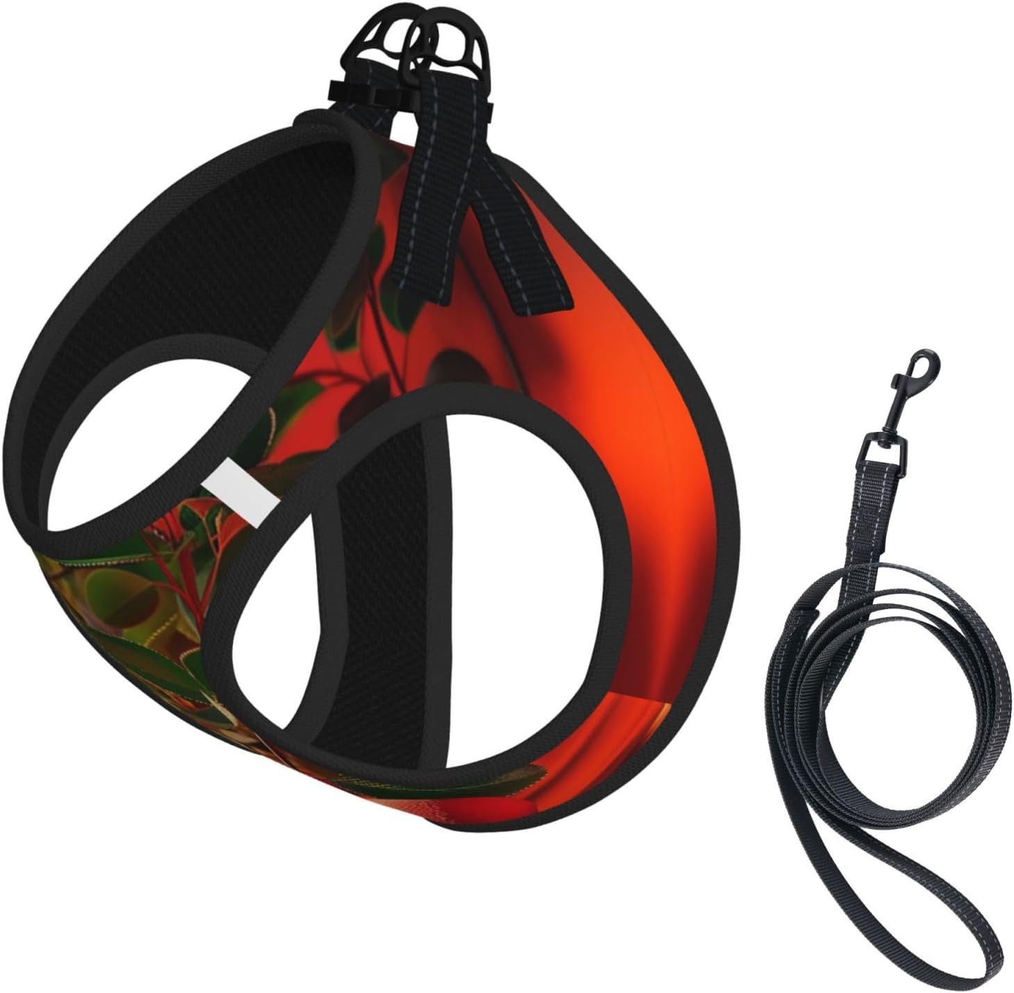 Fruit on The windowsill Pet Vest Small Size Dog Harness and Leash Set for Training, Reflective & Adjustable with Accessories Medium