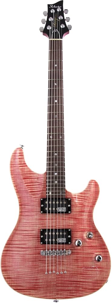 SCHECTER シェクター RX-2-24 CTM TOM 美品 SCHECTER / REXY RX-2-24-CTM-TOM｜製品レビュー【デジマート