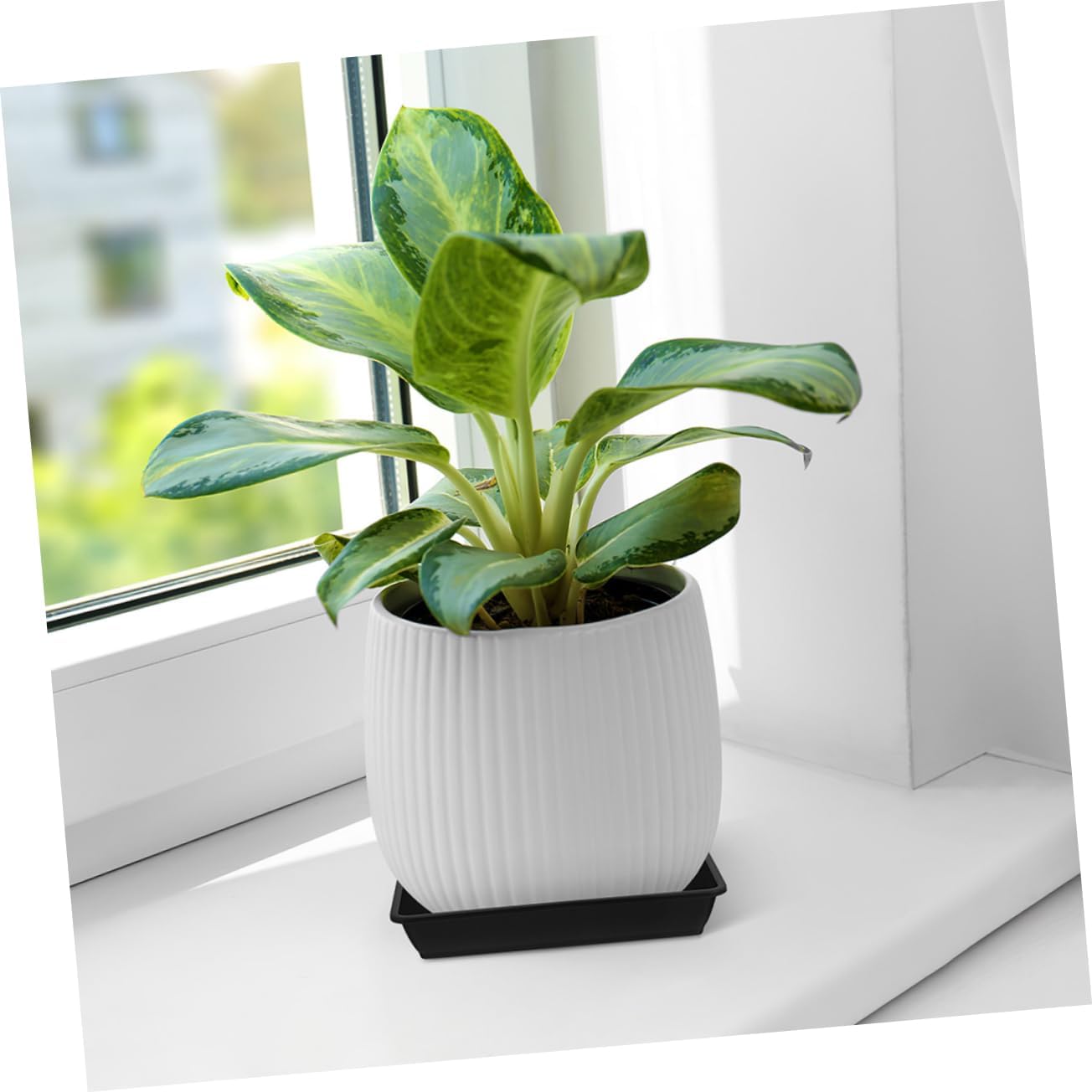 10pcs Flower Pot Saucer Trays for Indoor and Outdoor Plants Plant Drainage Tray Black Square Plastic Plates