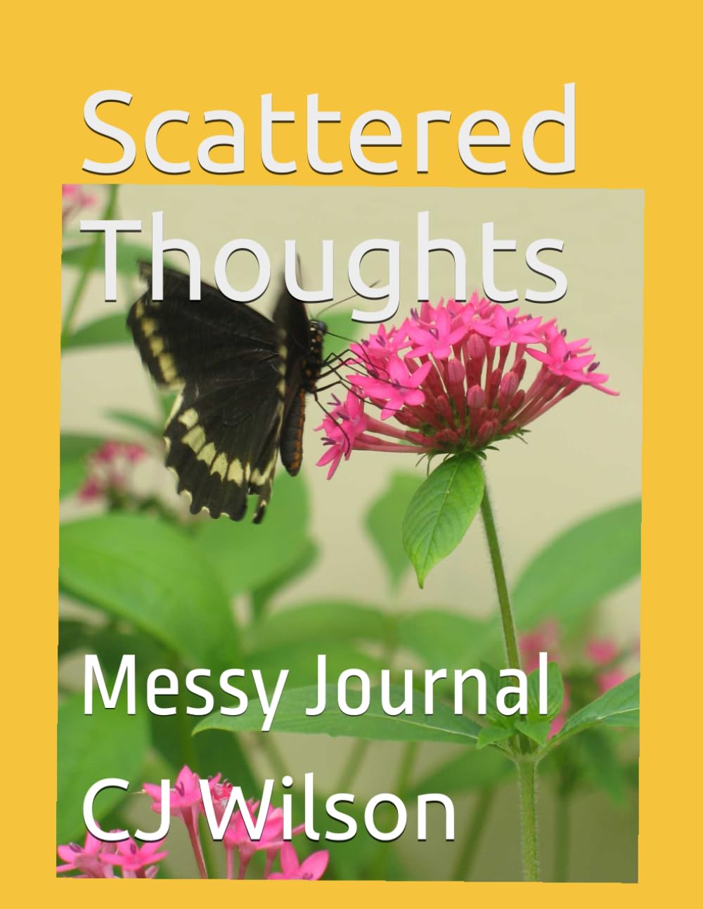 Scattered Thoughts: Messy Journal      Paperback – November 14, 2025