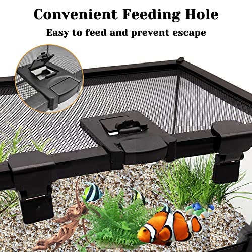 Hamiledyi Mini Reptile Glass Terrarium Tank,12"X8"X6" Micro Snake Habitat Transparent Hermit Crab Breeding Box Small Amphibians Enclosure Cage For Baby Tortoise Gecko Lizard #TOP5