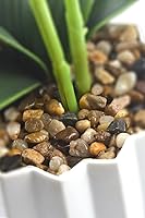 Vista 4 de Orchid Plant for Artificial Flowers,Orchid Arrangement，plantas artificiales decorativas Silk Phalaenopsis Orchid Flower with Solid Plastic Vase for