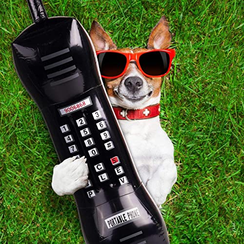 Fingooo 2 Pieces Inflatable Radio Boombox And Inflatable Mobile Phone,Mobile Phone Props For 80S 90S Party Decorations #TOP7