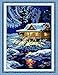Stamped Cross Stitch Kits Cross-Stitching Accurate Pre-Printed Pattern - The Night of The Arctic 11CT 10.6"X 15", Frameless (Pattern Printed On Fabric)