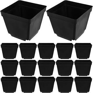 Toddmomy 50 Piece Mini Plastic Flower Pots for Succulent Plants and Cactus