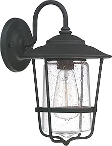 Capital Lighting 9601BK Creekside Clear Seeded Glass Outdoor Wall Sconce, 1-Light 100 Watt, 13" H x 8" W, Black
