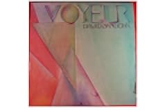 David Sanborn VOYEUR - Warner Brothers Records 1981 - Vinyl LP Record - 