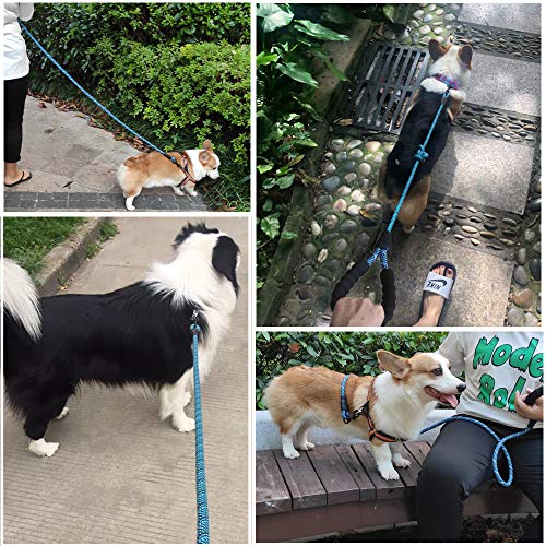 Image of MayPaw Heavy Duty Rope Dog Leash, 1 /2 inch x 6FT Nylon Pet Training Leash, Soft Padded Handle Thick Lead Leash for Large Medium Dogs (1 /2 inch 6ft, Blue)