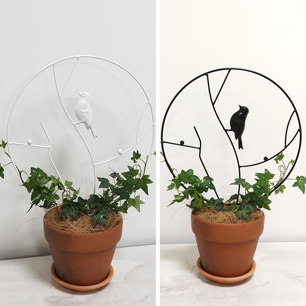 Set 4 Tralicci In Metallo Nero Per Piante Rampicanti - 95,2 Cm, Per Interni/esterni