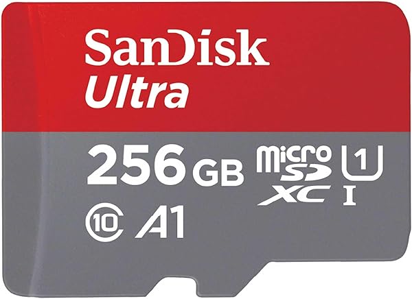 SanDisk microSD カード 256GB UHS-I U1 Class10