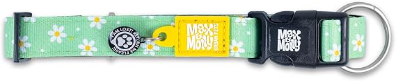 Max & Molly Margarite Smart ID Dog Collar