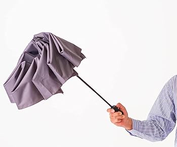 Amazon.co.jp: マブ(Mabu) 折りたたみ 傘 耐風 7本骨 自動開閉式