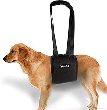 Portable Dog Support Harness - Helps Dog with Weak Front Or Rear Legs Stand Up, Walk, Get Into Cars, Climb Stairs for Disable, Injured, Elderly PetL