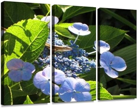 Amazon 紫陽花 アジサイ あじさい カナヘビ かなへび トカゲ とかげ 爬虫類 梅雨 生物 生き物 自然 植物 花 ガクアジサイ 青 緑モダン アートボード 壁アート 壁掛け モダンアート 壁飾り木枠セット 壁芸術 新築祝い インテリア オンライン通販