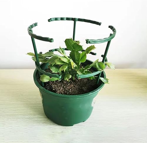 Miniatura 5 de Angoily 15 piezas de enrejado para trepar plantas, soporte de escalada de plantas, soporte de plástico para plantas, marco de plantas, enrejado,