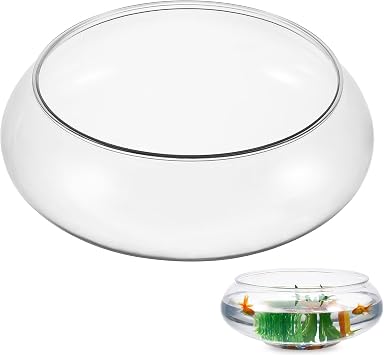 Toddmomy Transparent Aquarium Tank 9.52 Inch Desktop Betta Fish Bowl for Home and Office Decor with Hydroponic Plants and Aquatic Pets Display