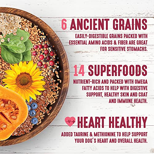 Earthborn Holistic Venture Unrefined Roasted Rabbit With Ancient Grains & Superfoods Dry Dog & Puppy Food, 12.5 Lb. #TOP3