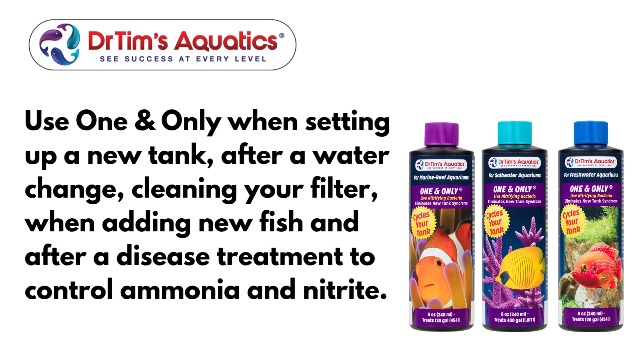 Amazon.com : Dr. Tim's Aquatics Saltwater One & Only Nitrifying