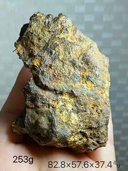 Amazon.co.jp: パラサイト隕石 253g セリコ隕石原石 Bigサイズ