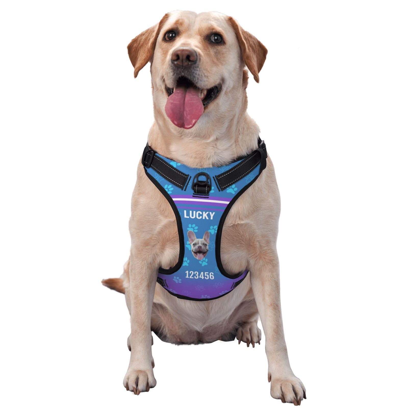 Personalized No Pull Dog Harness Leash, Custom Heavy Duty Reflective Dog Harness with Photo/Name/Phone Number/Text/Logo