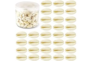 200 Pcs White Natural Spiral Seashell Beads for Jewelry Making