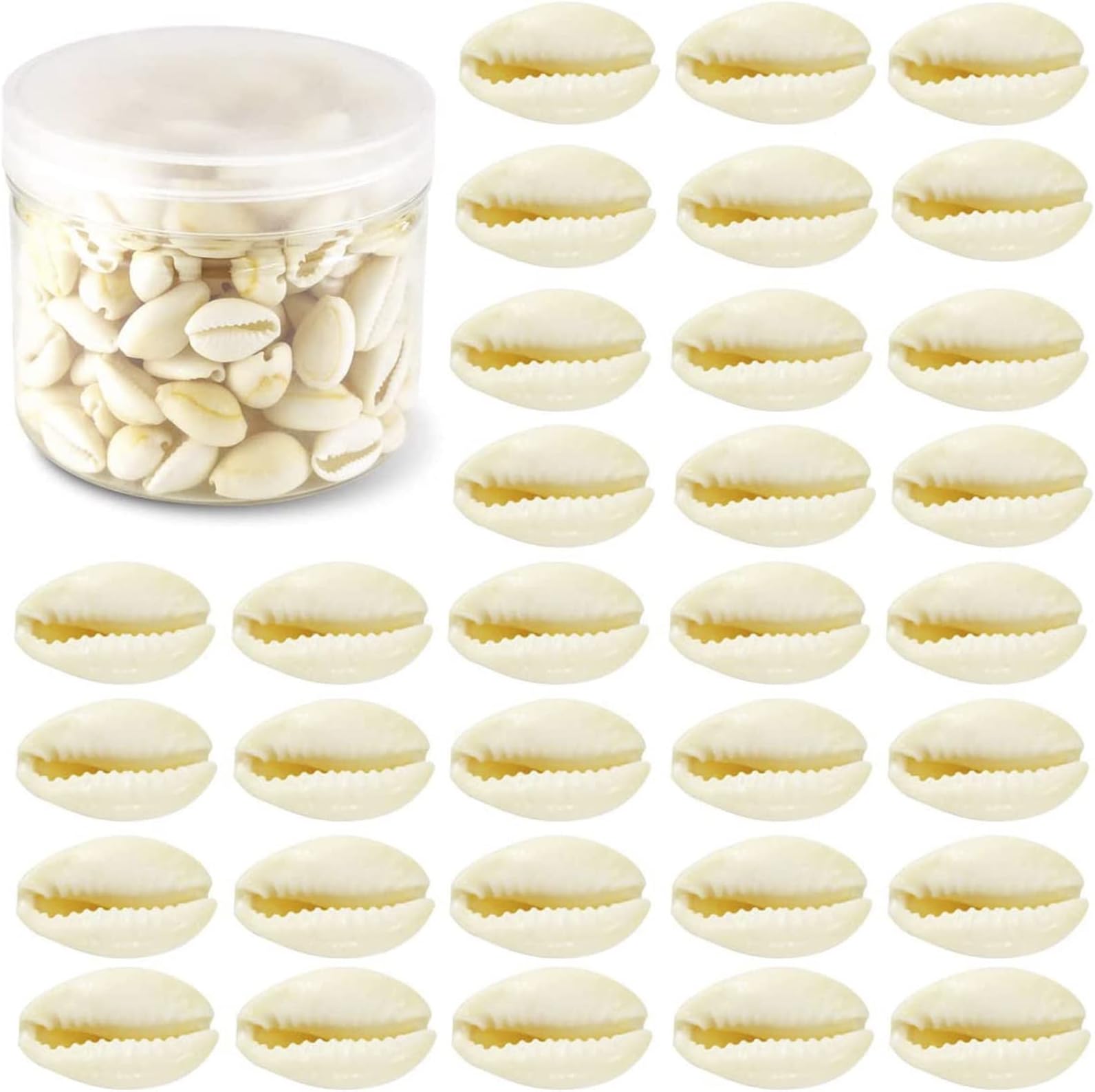 200 Pcs Natural White Cowrie Shells Bulk - 16-18mm No Holes Whole Seashells for Jewelry Making, Wedding Decor, Crafts, Beach Party Supplies (Small Cowrie Shell Beads, DIY Accessories)