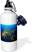 3dRose "Leafy Sea Dragon Phycodurus eques in Esperance, Western Australia" Sports Water Bottle, 21 oz, White