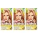 Garnier Nutrisse Nourishing Hair Color Creme, 80 Medium Natural Blonde (Butternut), 3 Count (Packaging May Vary)
