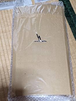 雷音竜　地上最強の男　竜　ベアモデル　風忍　ダイナミックプロ　永井豪 地上最強の男 竜 ［初出完全版］（風忍とダイナミックプロ