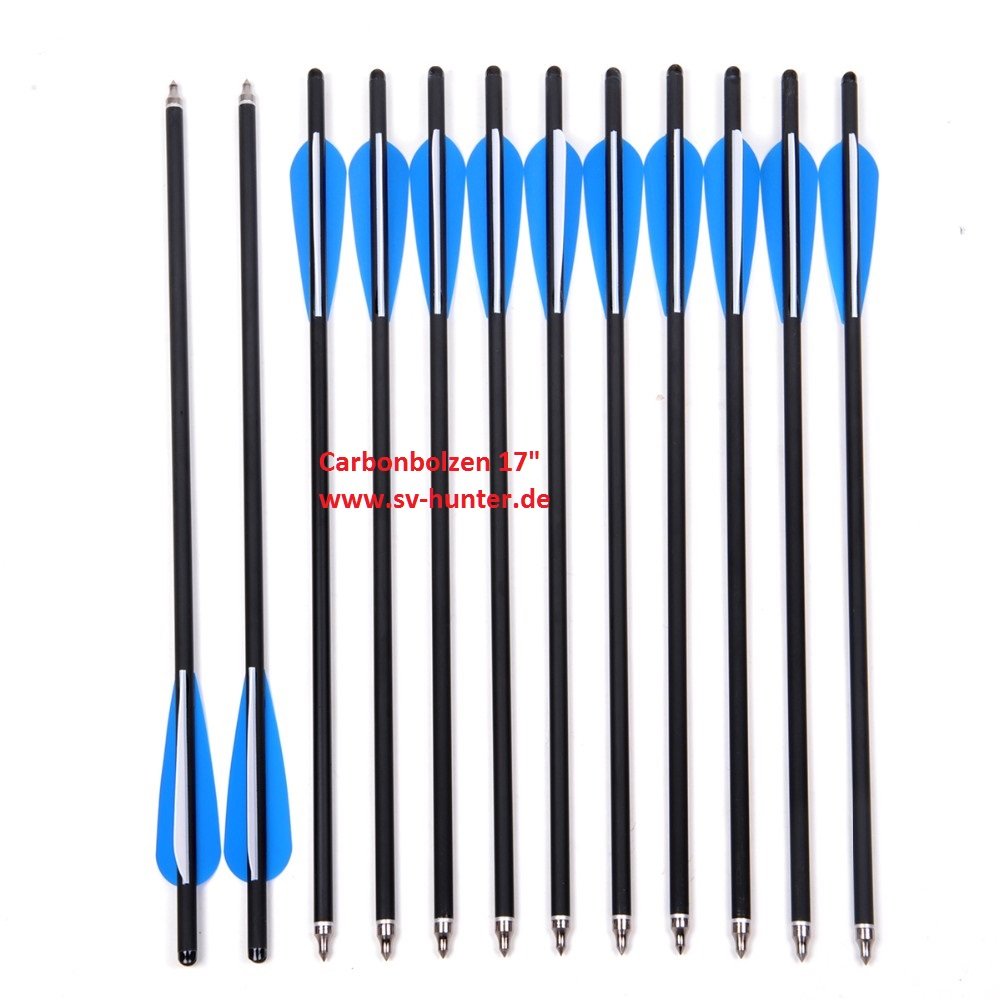 Markenlos 12X Carbonpf Corde 17 Caccia Formazione Bullone Freccia Ricurva/Compound Balestra