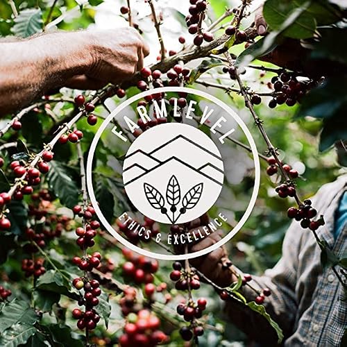 Verve Coffee Roasters Whole Bean Coffee Bronson Blend | French Dark Roast, Direct Trade, Resealable Pouch | Enjoy Hot Or Cold Brew | Ideal For French Press | 12Oz Bag #TOP6
