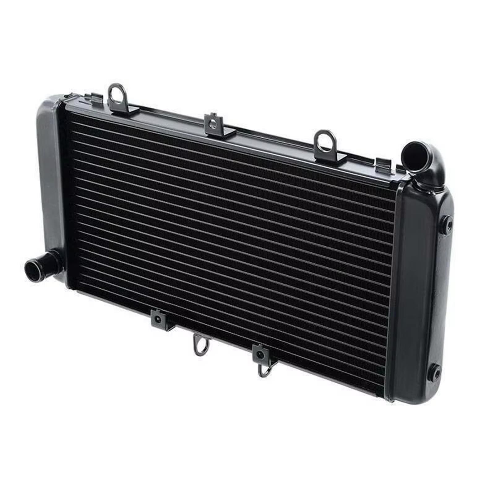 Serbatoio Espansione Liquido Raffreddamento Moto Per CB1300SF 2003-2024