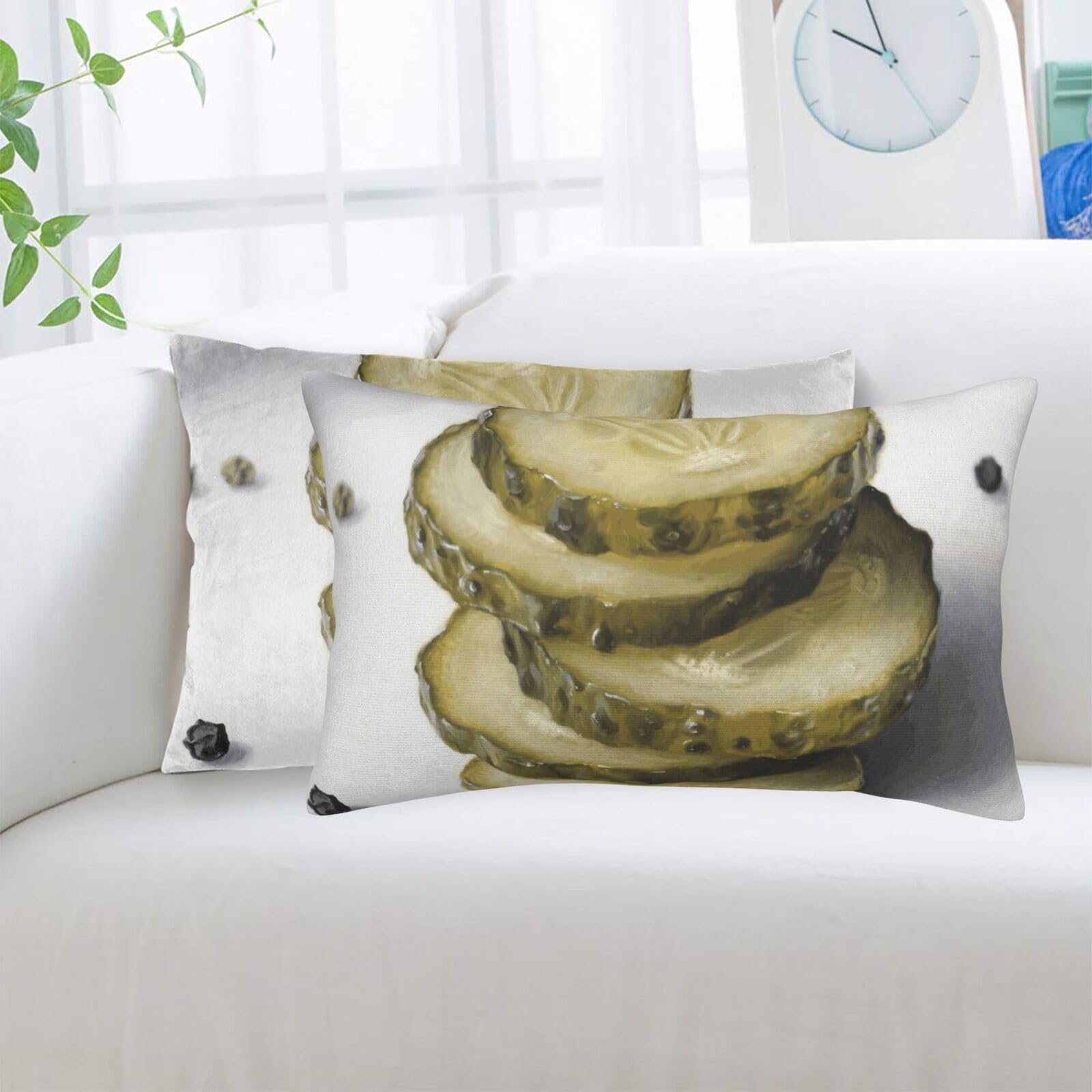 2 Pack Standard Pillowcases Sets, Ultra Soft Comfort Microfiber Plush Pillow Cases Pickle Decorative Throw Pillow Cover with Hidden Zipper for Bedroom, Sofa, Couch,20"X30"