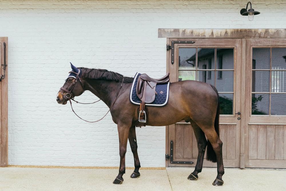 Kentucky Horsewear – mantilla – con cordón trenzado – mantilla – doma – azul marino