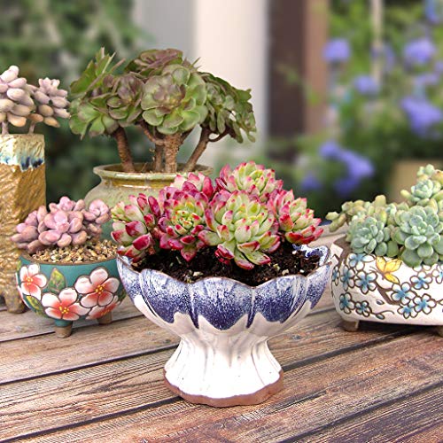 Summer Impressions 6 Inch Glazed Terracotta Succulent Planter With Drainage Hole Clear Plant Saucer Cactus Planter Pot Bonsai Pot Clay Pot Flower Pot (Lotus Blue With Saucer) #TOP1