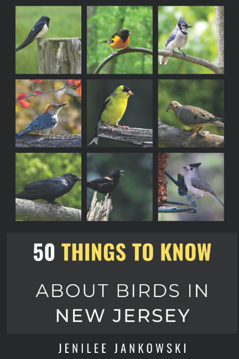 Buy 50 Things to Know About Birds in New Jersey Birding in the Garden State (50 Things to Know