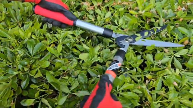 Amazon.com : Kimura® Pro Heavy Duty Hedge Shears - Premium Garden