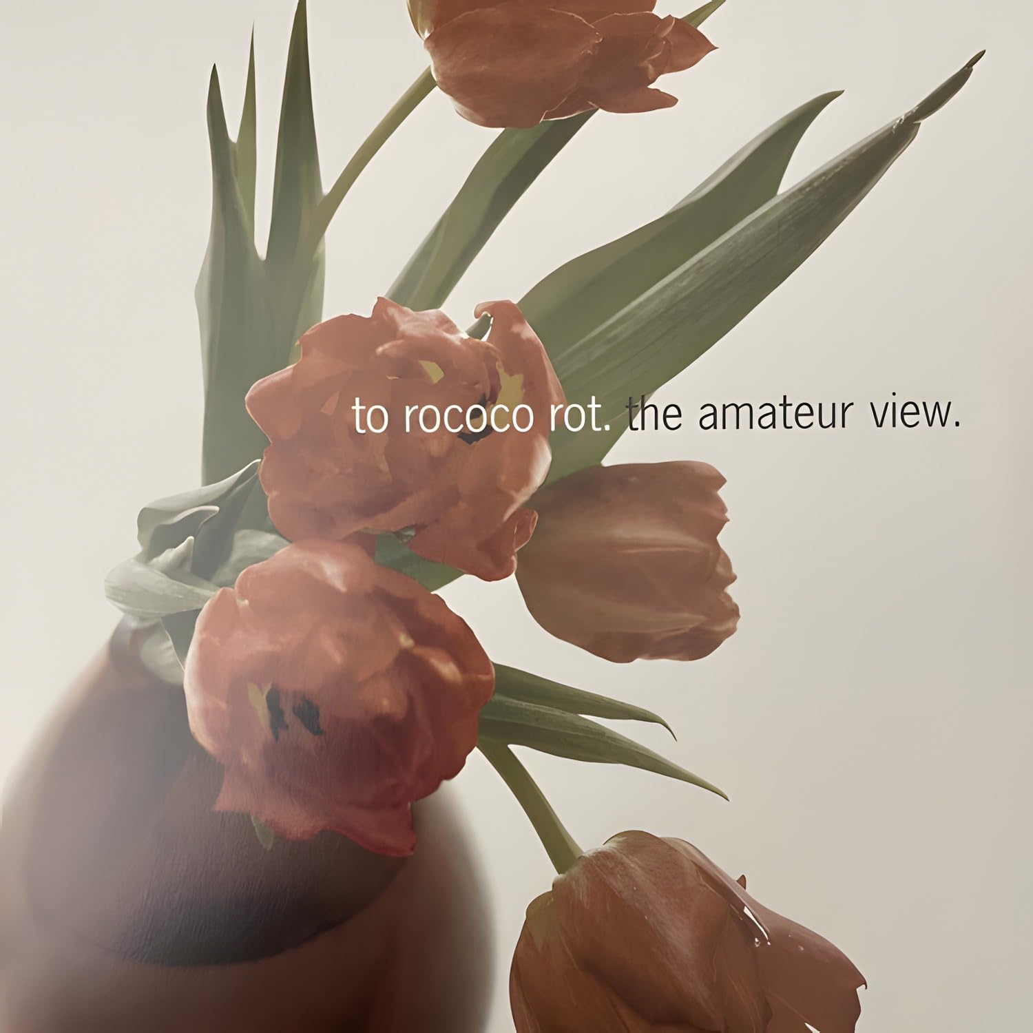 TO ROCOCO ROT - The Amateur View (Expanded Edition) (remastered) - Vinyl (LP)