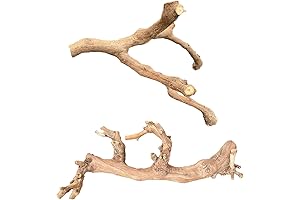 Exo Terra Forest Branch: Ideal for arboreal reptiles and amphibians