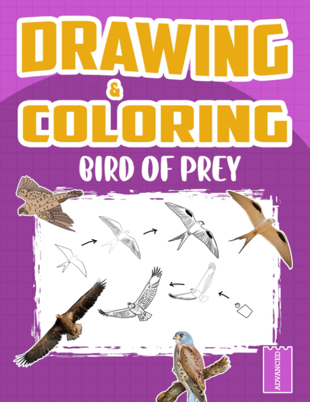 Drawing And Coloring Bird Of Prey: The Fun And Simple Step By Step Way To Draw And Color Beautiful Birds Adults Relaxation And Stress Relief