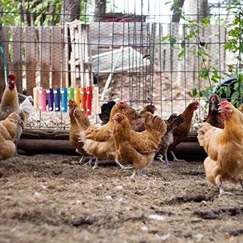 earlyad Huhn Xylophon Spielzeug 8 Schlüssel Huhn Hackspielzeug Hühnerstall Hackspielzeug Geeignet für Hühner Hühnerstall… – Bild 7