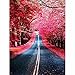 YINGXIN134 Puzzle da 3000 Pezzi per Adulti - Autostrada con Alberi Rossi Puzzle da 3000 Pezzi 122 × 81 cm