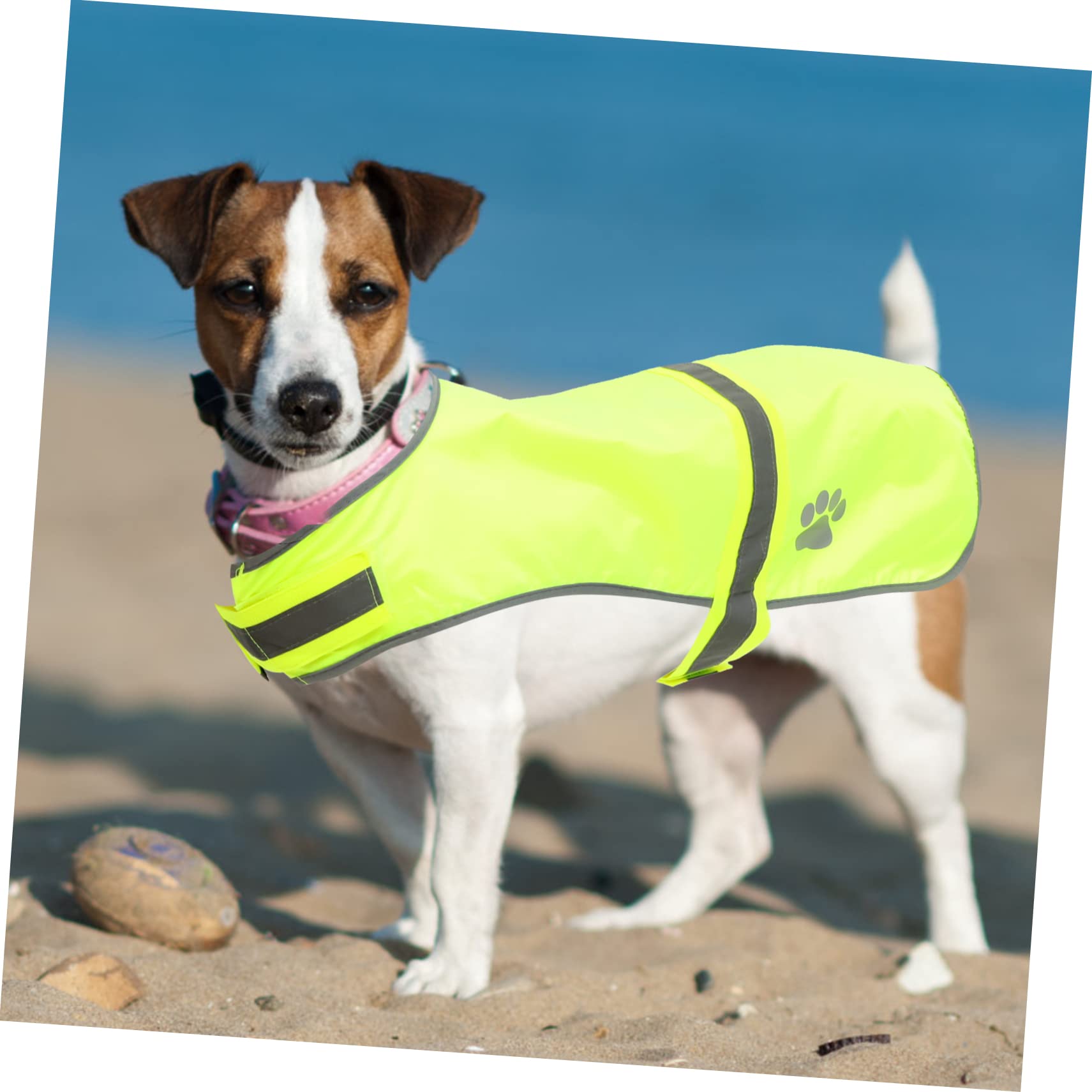 Mipcase 5piezas Chaleco Reflectante para Perros Ropa Decorativa para Mascotas y Práctico para Paseos y Viajes Oxford y Fluorescente Talla