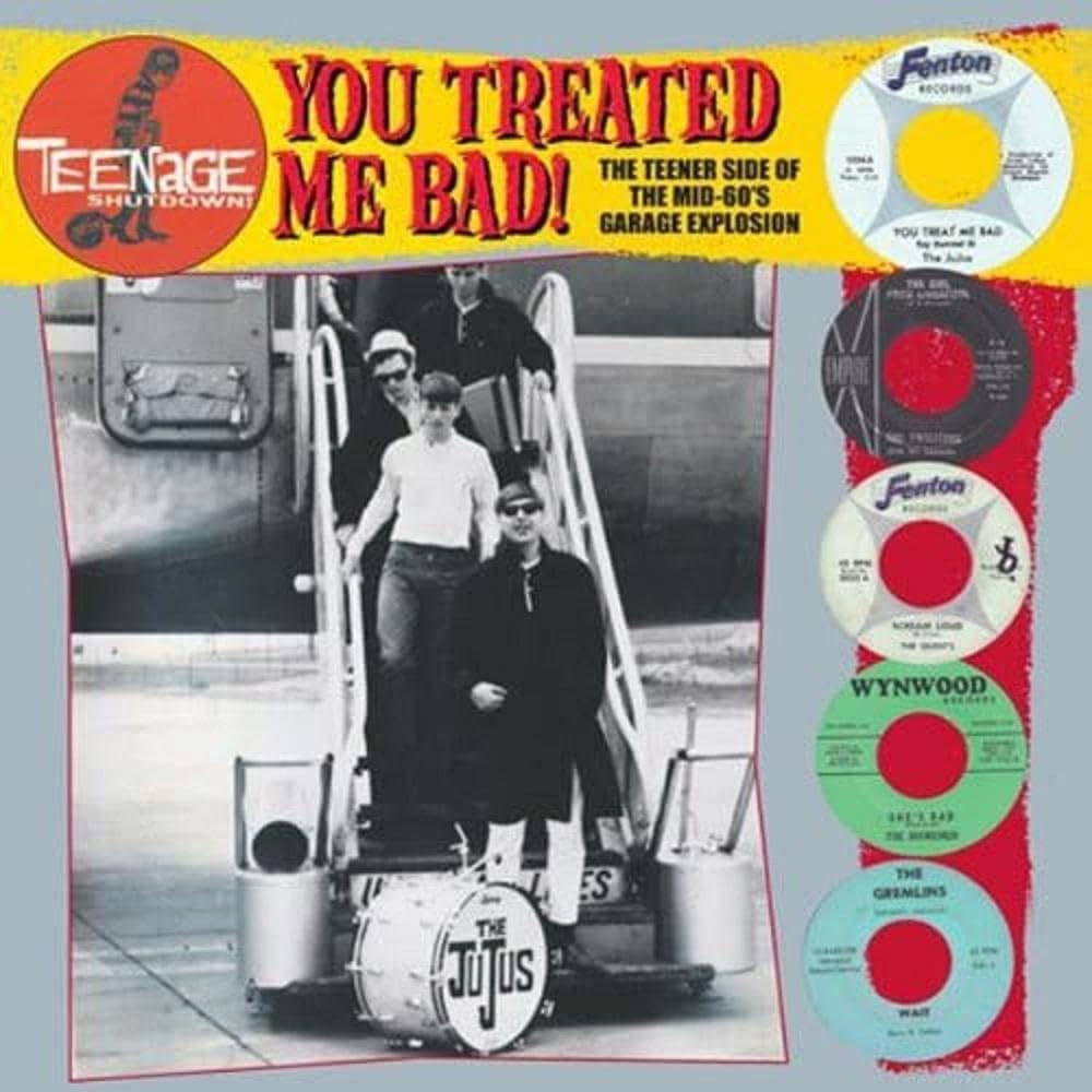 You Treated Me Bad! (The Teener Side Of The Mid 60's Garage Explosion) [VINYL]