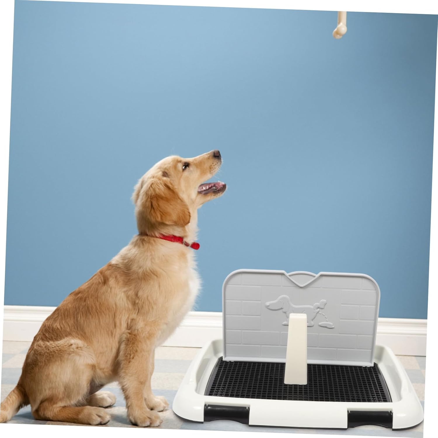 Thickened Indoor Dog Potty Tray with Splashproof Design Durable Plastic Puppy Toilet for Small and Large Dogs Non Spill Pee Holder with Bottom Mesh for Easy Training and