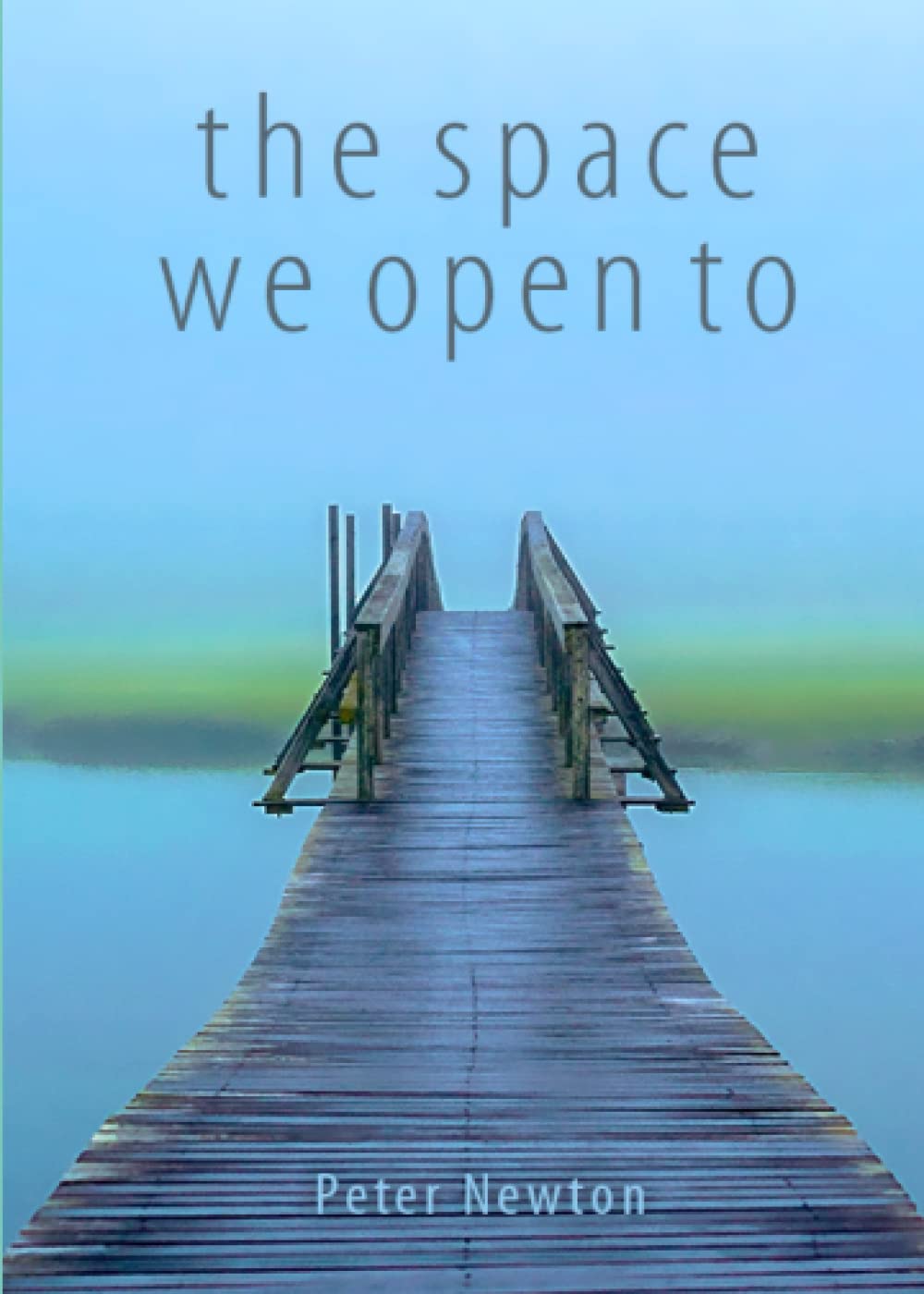 the space we open to: Haiku of Peter Newton