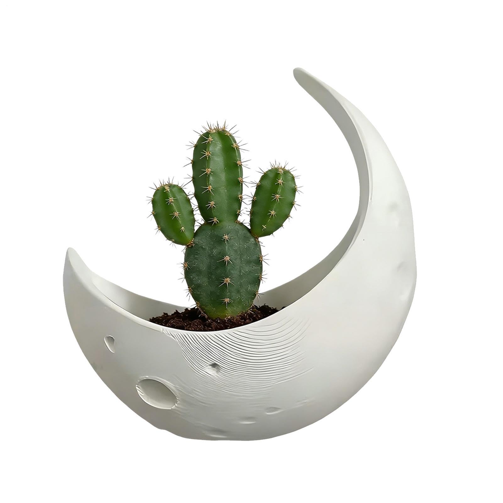Pot mural demi-lune Moon pour végétaliser votre chambre et balcon avec style